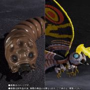 S.H.MonsterArts モスラ（成虫）＆モスラ（幼虫） Special Color Ver. ゴジラVSモスラ